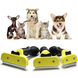 Shop For Cats And Dogs