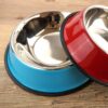 pet feeding basin - Image 3