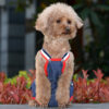 Physiological pants for cats - Image 3