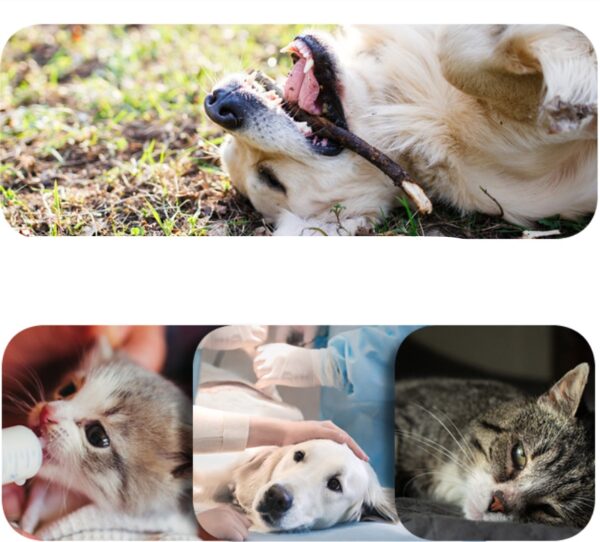 Pet  Deodorant  Cleaning  Wipes - Image 4