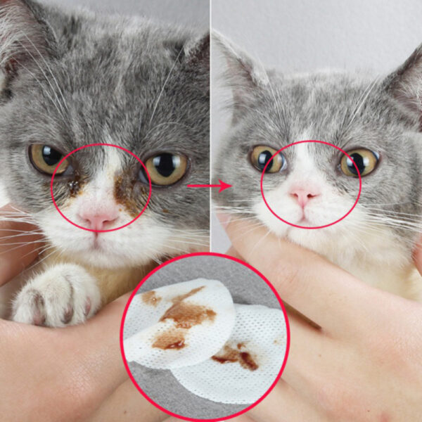 Gentle Tear Stain Cleaning Wet Pet Wipes - Image 3