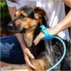Dog Bath Brush - Image 5