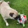 Bite-resistant Dog Football - Image 9