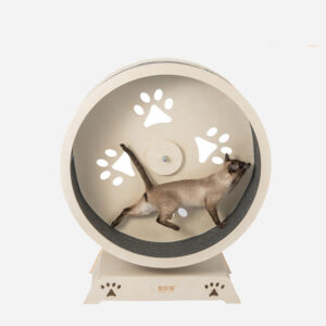 Shop For Cats And Dogs