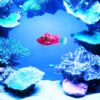 Pet Fish Electronic Cat Toys With Grass LED Light - Image 5
