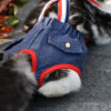 Physiological pants for cats - Image 2