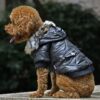 Cross-border pet supplies pet clothes dog clothes autumn and winter fur collar coat pet dog clothing - Image 2