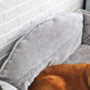 Dog sofa bed - Image 4