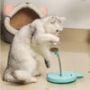 Leaking Food Ball Self-Playing Cat Toy