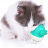 Electric Vibration Cat Toys - Image 2