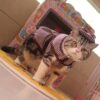 Cloak Hat Detective Clothes