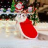 Cat clothes cloak