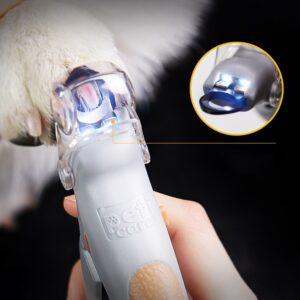 Shop For Cats And Dogs