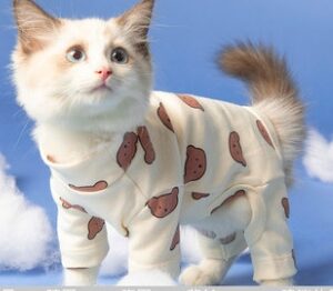 Shop For Cats And Dogs