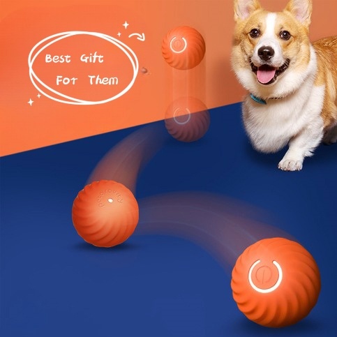 Shop For Cats And Dogs