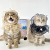 Netizens Cats Dogs Pets Lace Bibs Hats Clothes - Image 5