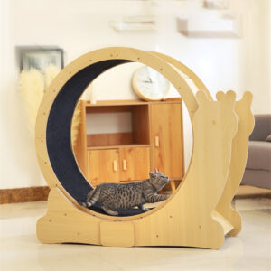 Shop For Cats And Dogs