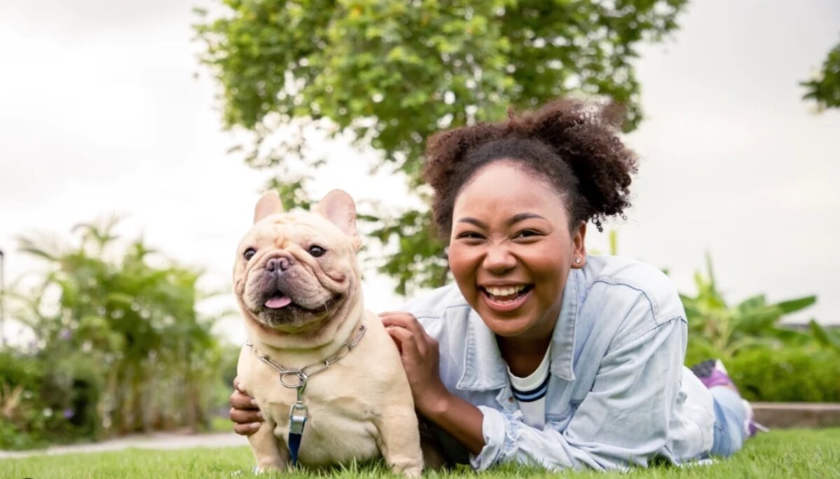 Shop For Cats And Dogs