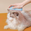 Cat Shape  Electric Spray Comb - Image 4