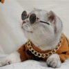 Autumn And Winter Knitted Wool Clothes For Cats - Image 3