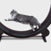 Cat Treadmill Silent Climbing Frame - Image 4